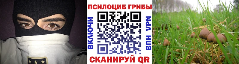 наркота Сухой Лог MEGA онион Галлюциногенные грибы мицелий